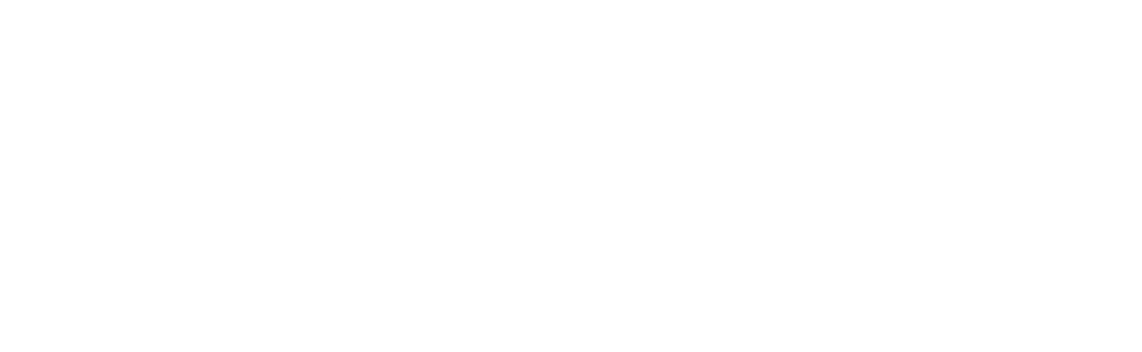 Legitimate Solutions Logo